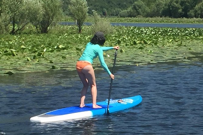 Paddleboard (SUP) Tour on Crnojevic River to Skadar Lake - The morning start in Kotor
