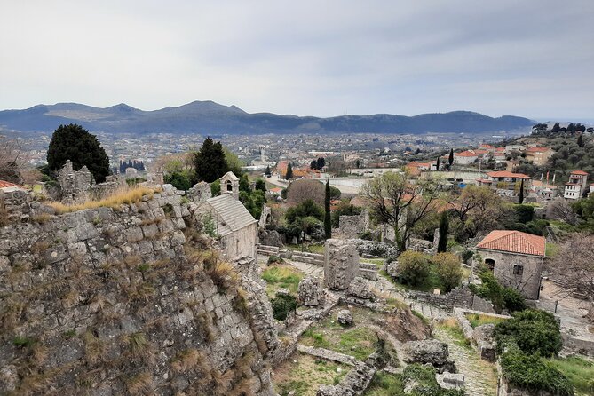 Port of Bar tour - Explore Adriatic area - Bar and Ulcinj tour - A ten-minute visit to Montenegro’s ancient olive tree