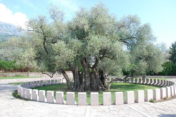 Port of Bar tour - Explore Adriatic area - Bar and Ulcinj tour - The guide can shape the day