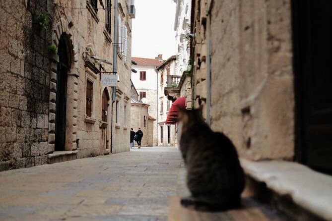 Port of Kotor - Kotor-Perast-Our lady of the rocks private tour - What the six-hour schedule really means
