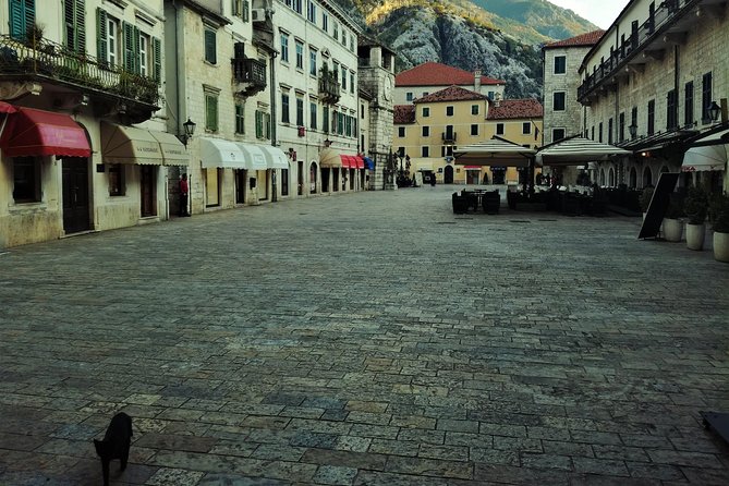 Port of Kotor - Kotor-Perast-Our lady of the rocks private tour - Who should book this private Montenegro tour?