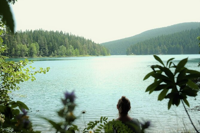 Private Durmitor National Park and Black Lake Tour - The private guide makes the long day easier