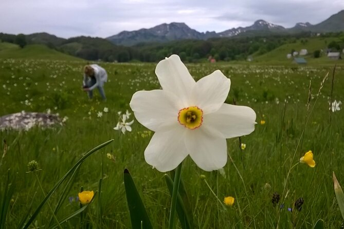 Private Full-Day Tour in Moraca and Tara Canyons, Durmitor & Biogradska Gora NP - The long day requires realistic planning