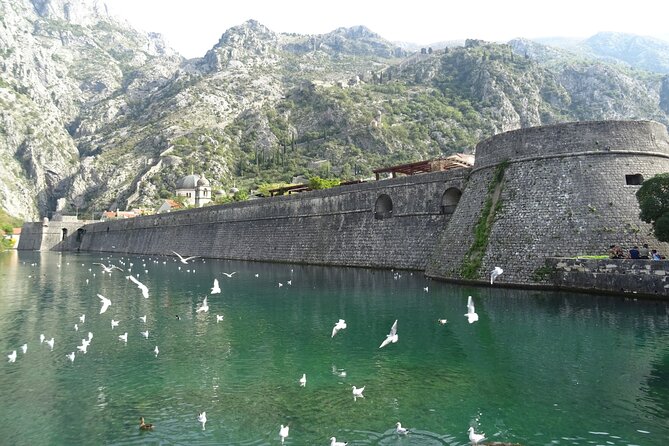 Private Full-Day Tour -Kotor tour, Saint Stefan & NP Skadar Lake - Who should book this Montenegro tour?