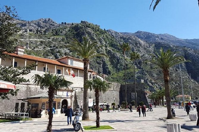 Private Kotor Walking Tour - Rick Steves Recommended - What the guide quality means in practice