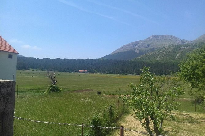 Private National Park Lovcen with food and wine tasting - Timing, pickup, and practical points