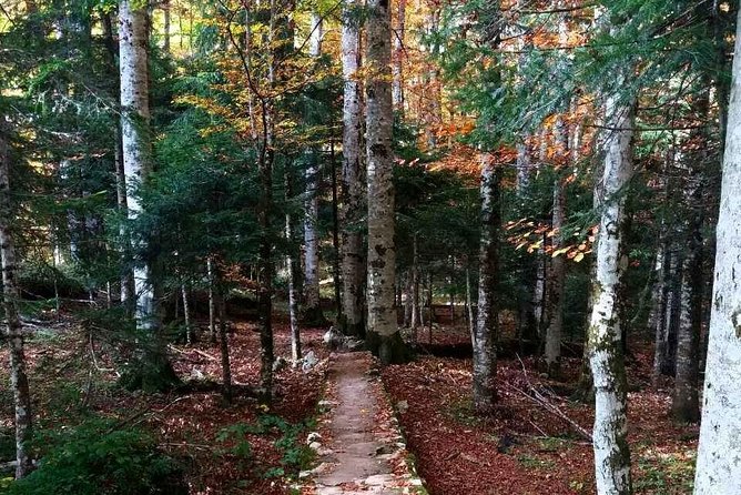 Private north Montenegro tour -Moraca River Canyon and walk trough Virgin Forest - Biogradska Gora and the walk around Lake Biogradsko
