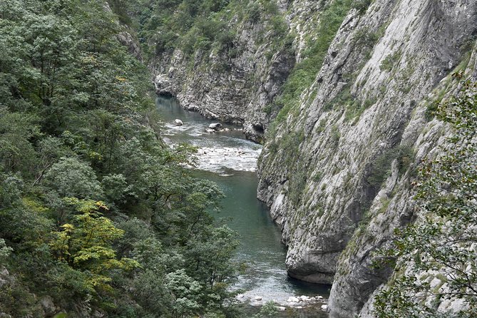 Private north Montenegro tour -Moraca River Canyon and walk trough Virgin Forest - Language and practical details