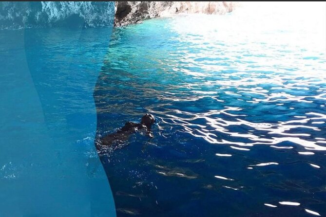 Private tour:Blue Cave,Mamula Island, Submarine Tunnel, Our Lady of the Rock(3h) - Mamula Island and its fortress-shaped shoreline