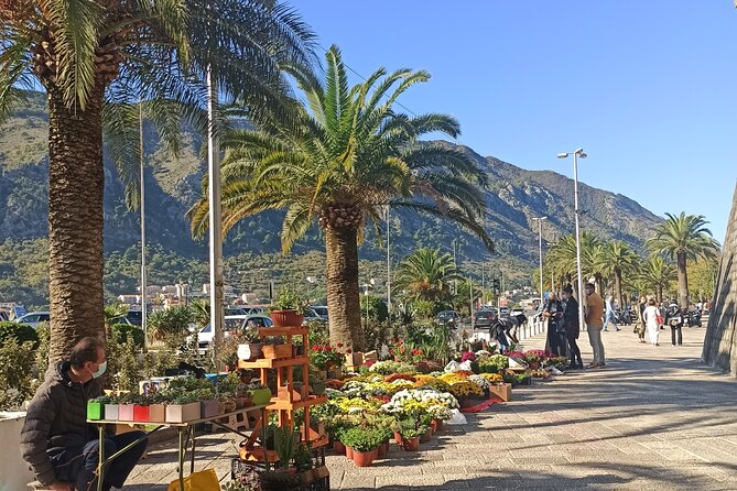 Private Walking tour with Wine and Food - How the guides affect the experience