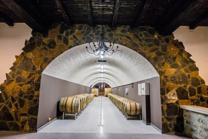 Private Wine Tasting Activity at Lipovac Winery - Reaching Lipovac Winery near Podgorica