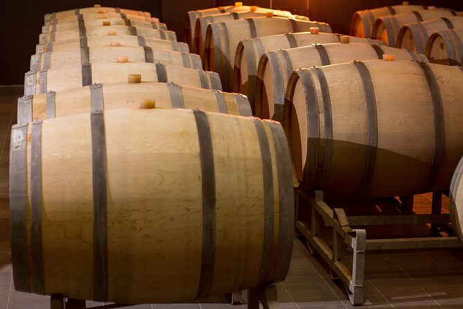 Private Wine Tasting Activity at Lipovac Winery - From high-tech bottling lines to the underground cellar