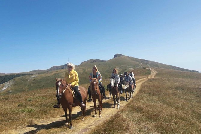 Short Horseback riding - Kolasin - Starting at Sport Turist in Kolašin
