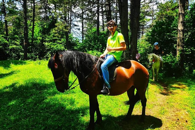 Short Horseback riding - Kolasin - What the private format changes