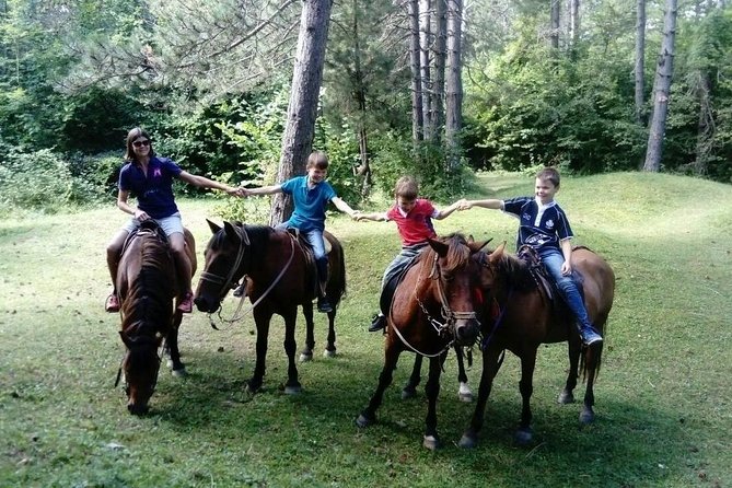 Short Horseback riding - Kolasin - The one-hour ride versus the 24-hour program