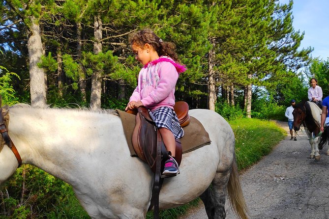 Short Horseback riding - Kolasin - How the price works for different types of visitors