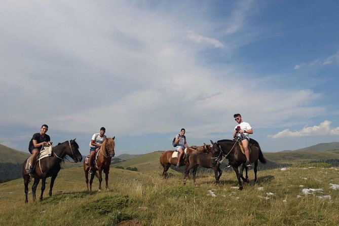 Short Horseback riding - Kolasin - Your first riding lesson with a calm horse