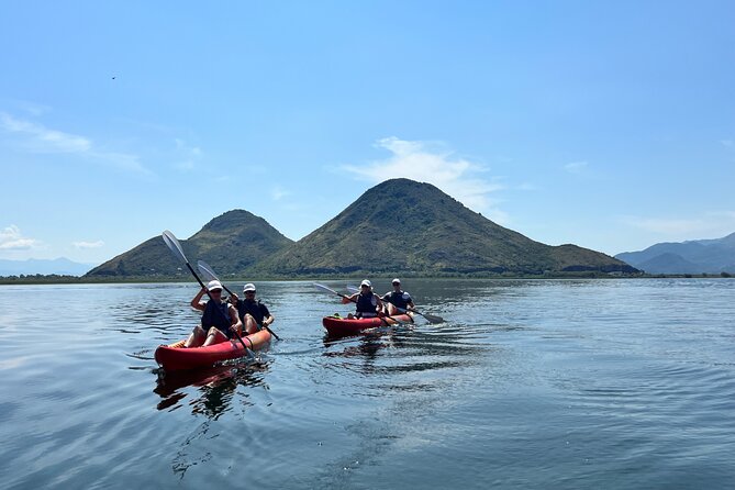 Skadar Lake: 4-Hour Guided tours on Kayak - What the $46.27 price really covers