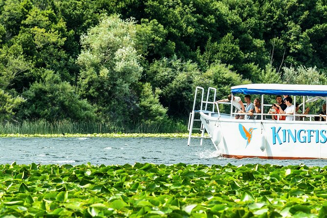 Skadar Lake & Crnojevića River: Swimming, Snacks & Wine - Wine, rakija, and priganice on the lake