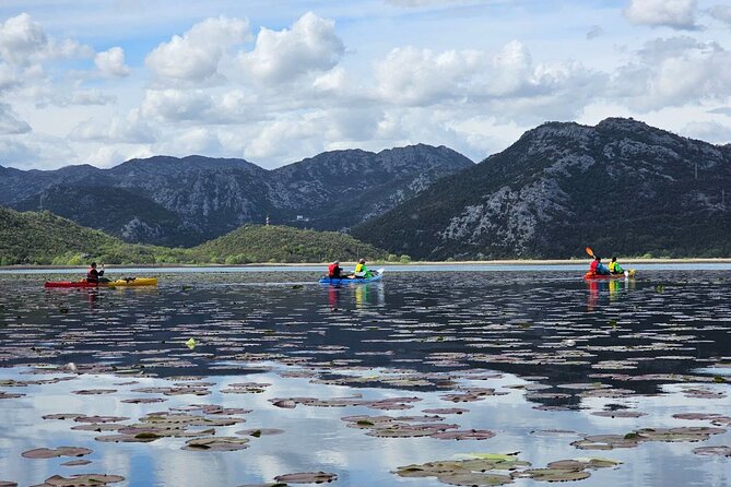 Skadar Lake on kayaks Experience with Spectacular Views - Key points to know before booking