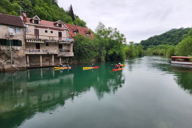 Skadar Lake on kayaks Experience with Spectacular Views - Viewpoints, breakfast, and the practical rhythm of the day