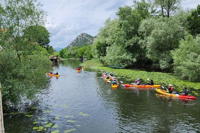 Skadar Lake on kayaks Experience with Spectacular Views - Is $47 a good value?