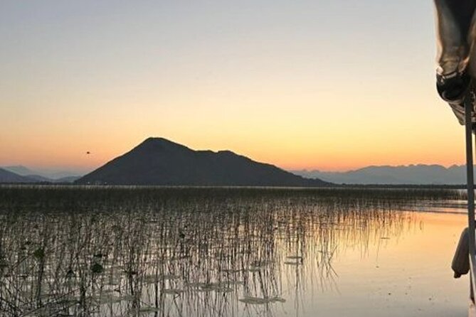 Skadar Lake Private Boat Tour with Wine Tasting - Birdwatching along the Moraca River