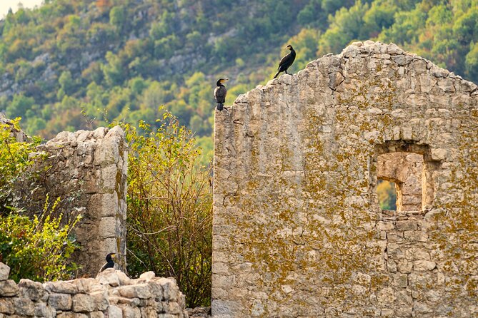 Skadar Lake Short Guided Tour: Discover the Montenegrin Alcatraz - Open water, a swim, and the ride back
