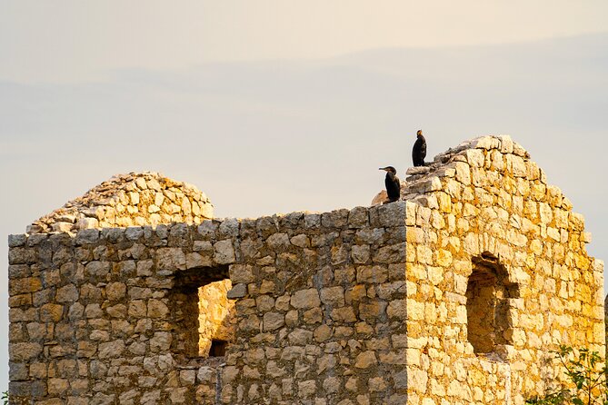 Skadar Lake Short Guided Tour: Discover the Montenegrin Alcatraz - Is $11.57 a good value?