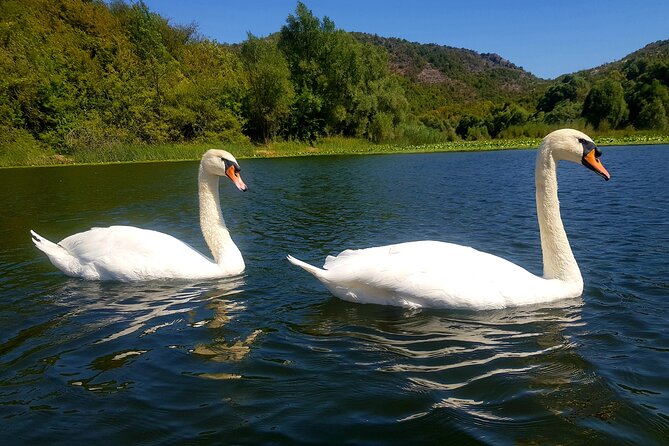 Skadar Lake & Virpazar return trip from Podgorica city - Virpazar, a small town with a useful pause