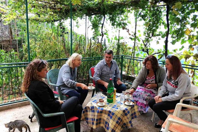 Unique gastro experience with locals in high hills above Budva! - Key points at a glance