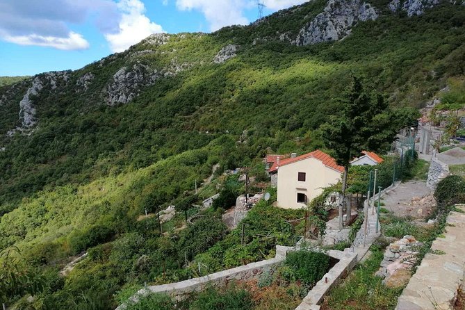 Unique gastro experience with locals in high hills above Budva! - Why leave Budva’s beaches for the hills?