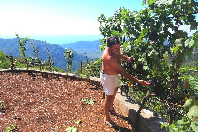 Unique gastro experience with locals in high hills above Budva! - Timing, comfort, and practical limits