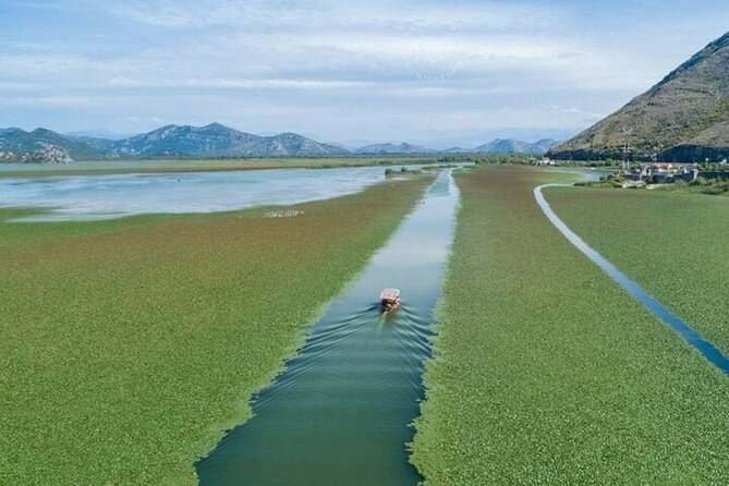Virpazar Skadar Lake National Park Guided Boat Tour - Setting out from Virpazar into Skadar Lake