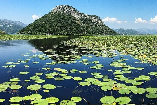 Virpazar Skadar Lake National Park Guided Boat Tour - Kamenik’s reed channels and bird reserve
