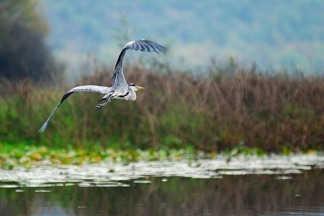 Virpazar Skadar Lake National Park Guided Boat Tour - Optional swimming in the middle of the lake
