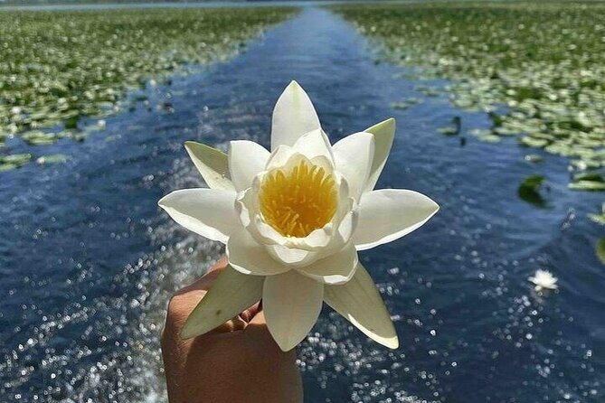 Virpazar Skadar Lake National Park Guided Boat Tour - Lesendro Fortress and the story of the lake